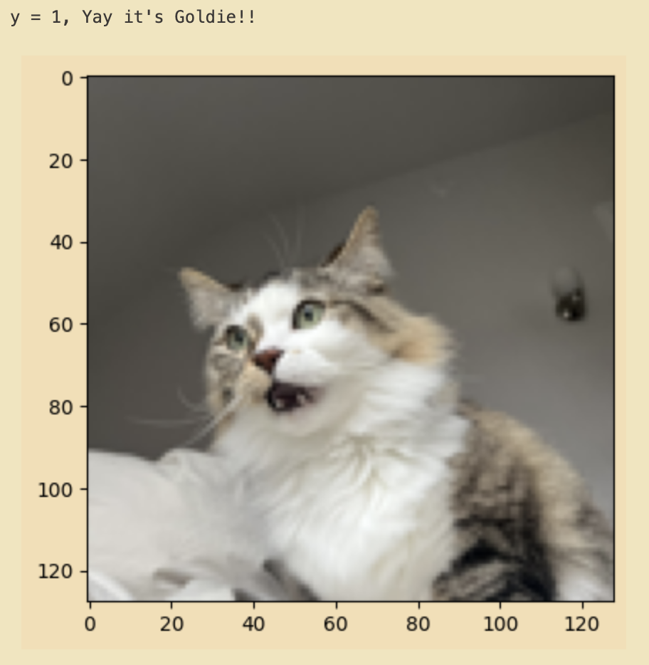 A grid of sample training images, some of Goldie and some random photos